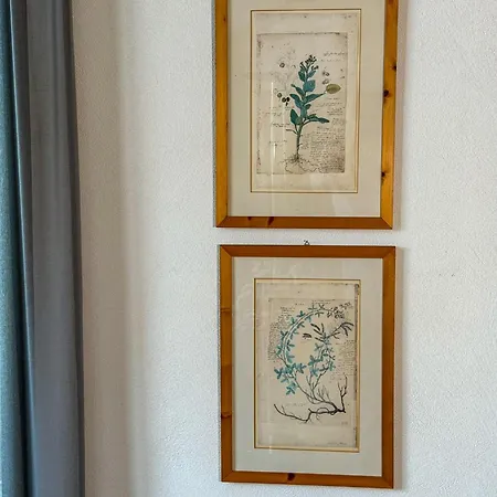 Rustico Moderne